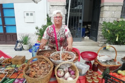 Una parada de bolets a Organyà, a l’Alt Urgell, a peu de la C-14 durant la jornada d’ahir.