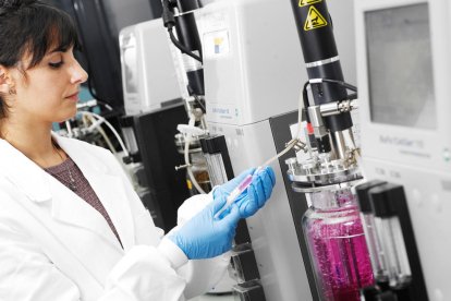 Amparo Gotor Vila, trabajando en el laboratorio.