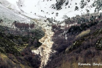 Una gran allau arranca arbres i enterboleix l’aigua potable a Isil