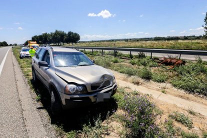 Imatge del vehicle que va xocar contra el vedell, ja abatut, a la dreta de la imatge.