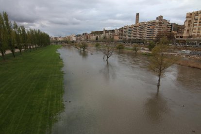 Las aguas del Segre inundaron la canalización.