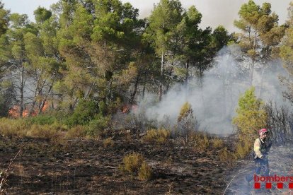 Tareas de extinción ayer en el incendio de L’Espluga Calba. 