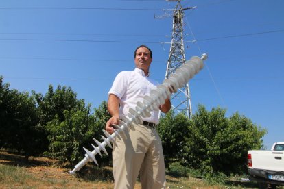 Operaris d’Endesa canviant ahir els aïllants d’una torre a Almenar.