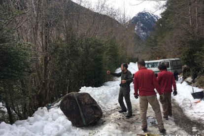 Rurals al costat de la roca despresa a l’accés al parc.