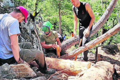 Voluntaris del Projecte Boscos de Muntanya treballen al camí d’accés al til·ler més antic de Catalunya, a Rialp.