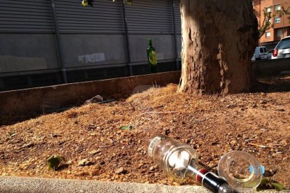 Restos de 'botellón' en un parque de Lleida.