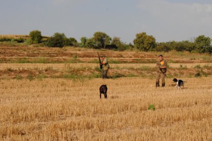 Caçadors a l’inici de la mitja veda del 2017 al Pla d’Urgell.