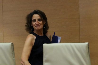 La ministra, ahir a l’arribar a la comissió del Congrés.