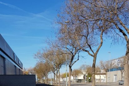 Així es trobava la caixa terminal del carrer J dilluns.