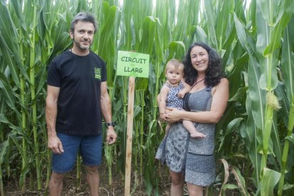 Los impulsores del laberinto, que ocupa tres hectáreas de maizales en esta 13 edición. 