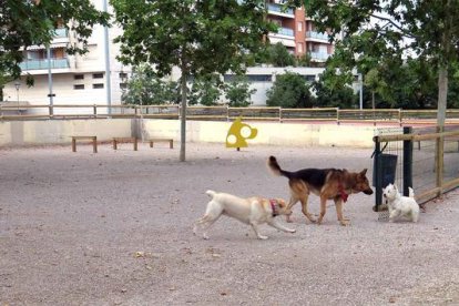 El Ayuntamiento de Lleida abre el área de perros de los Jardines Jaume Magre