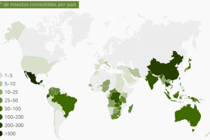 Els insectes comestibles volen ser un aliment global