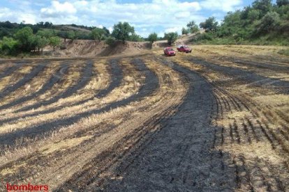 Un incendi calcina 1,3 hectàrees de vegetació agrícola a Vergós