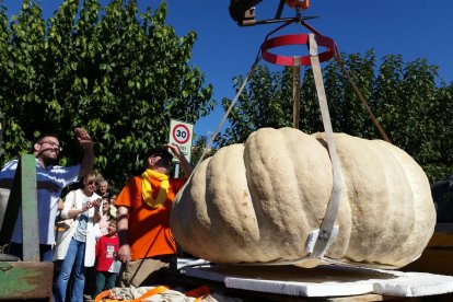 La carabassa guanyadora d'aquesta edició pesava 515 quilos. El propietari entregarà 50 llavors a l'organització, que les repartirà entre els aspirants a guanyar l'any que ve.