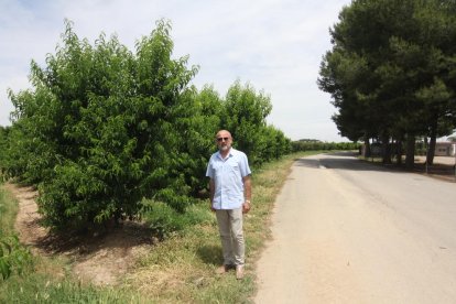 Alguns dels fruiters que es veuran afectats per l’operació.