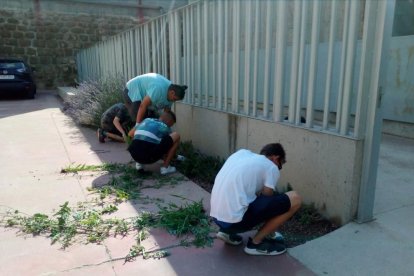 Cuatro voluntarios del proyecto Jova en Castelló de Farfanya.