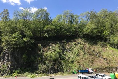 Imagen de los trabajos de limpieza de caminos forestales en Aran.