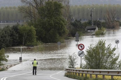 El desbordament de l’Ebre a Castejón, Navarra.