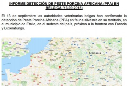 Informe de detección de peste porcina