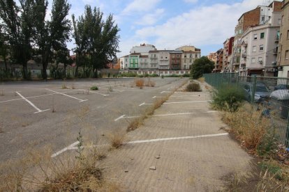 Las malas hierbas y nuevos brotes de árboles bajo los ya existentes proliferan en el solar.