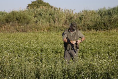 Un cazador esta semana al inicio de la media veda en Lleida. 