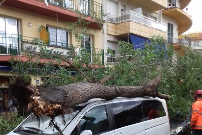 Árbol derribado sobre un vehículo en la localidad de Tossa, ayer.