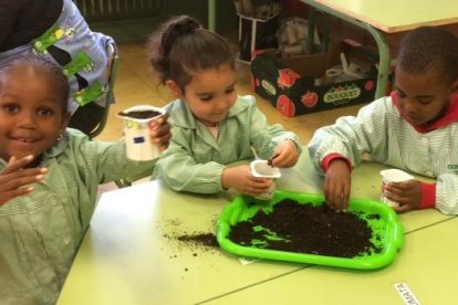 Alumnos de P-4 del colegio Balàfia, preparando una plantación hace dos semanas.