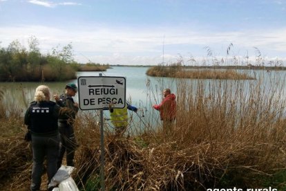 Actuación en el Estany d’Ivars d’Urgell i Vila-sana. 