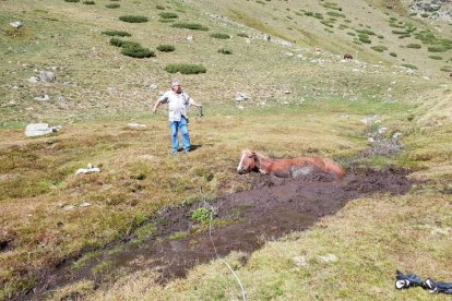 Rescaten una euga al Pallars Jussà