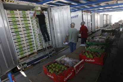 Camiones de fruta para exportar en Edullesa.