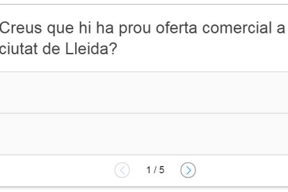 ENQUESTA. Creus que hi ha prou oferta comercial a Lleida?