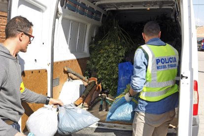 Agentes con parte de la marihuana intervenida en la operación policial.