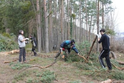 Trabajos llevados a cabo en la zona del Parc Natural en Soriguera. 