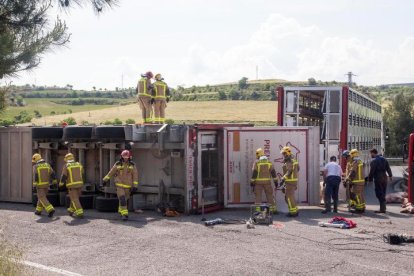 Diversos efectius dels bombers, ahir, treballant al costat del camió bolcat.