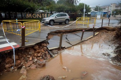 Destrosses a la calçada al costat de la platja del Carregador, a la localitat castellonenca d’Alcossebre.