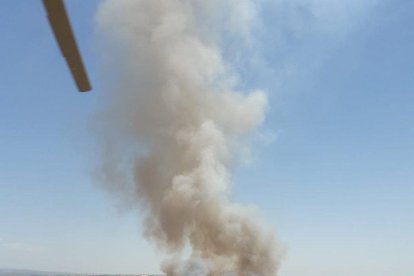 Efectivos de la ADF y Bomberos trabajando ayer a primera hora de la tarde en Talavera.