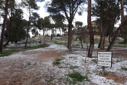 Sucs, a la imatge, va ser un dels municipis on va caure pedra.