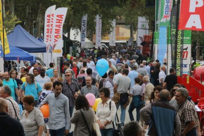 La Fira de Sant Miquel, un bé a preservar, un bé a potenciar 