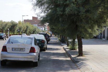 Carril bici 'invadido' por árboles en La Bordeta