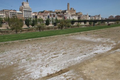 Pluja' de borrissol dels xops