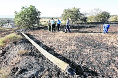 Técnicos y rurales en una imagen de archivo del lugar donde se originó el incendio de Agramunt.