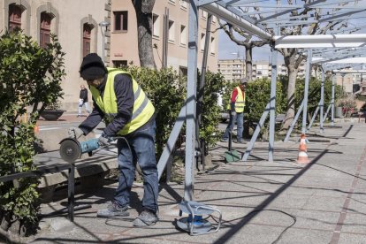 Les obres de reforma del passeig Jaume Balmes de Cervera.