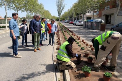 Fèlix Larrosa visitó ayer las obras para enjardinar la avenida Onze de Setembre.