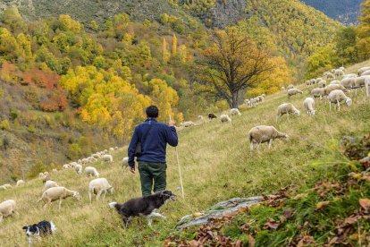 Vista del Parc Natural de l'Alt Pirineu