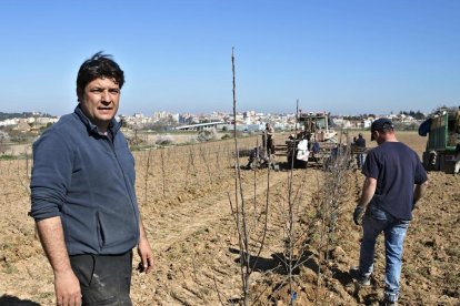 Josep M. Brufau, en plena tasca de plantació de les pomeres ecològiques.