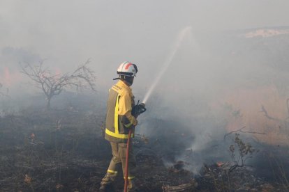 Los bomberos siguen luchando contra el fuego que afecta Almorox y varios municipios madrileños.