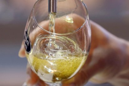 Més del 30% de la població mundial consumeix alcohol.