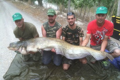 Imagen de archivo de pescadores con un siluro en La Granja.