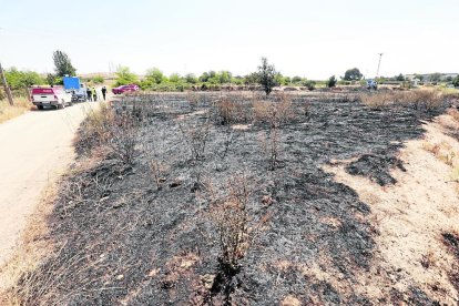 Sufoquen un incendi que calcina una hectàrea de brossa a la Bordeta