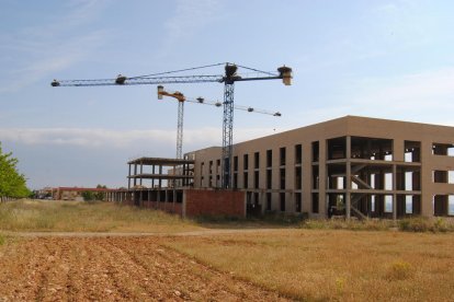 Las dos grúas de obra en el edificio abandona de Miralcamp, donde hay hasta diez nidos de cigüeñas. 